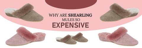 Why are Shearling Mules So Expensive?