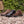 BRISTOL BLACK LEATHER